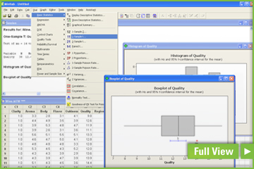 Minitab-Software Services-Lean Six Sigma Master Black Belt(MBB ...